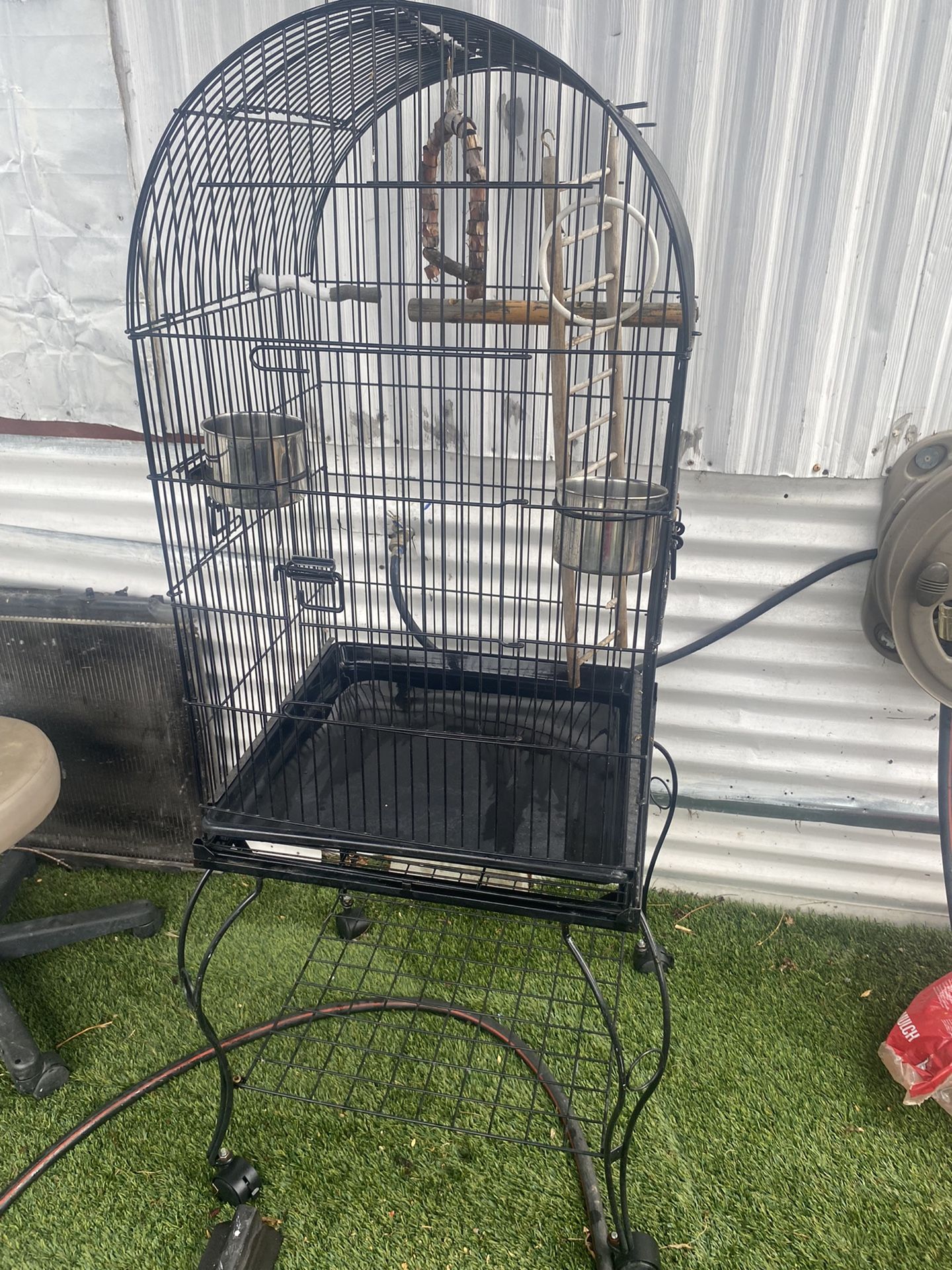 Bird Cage