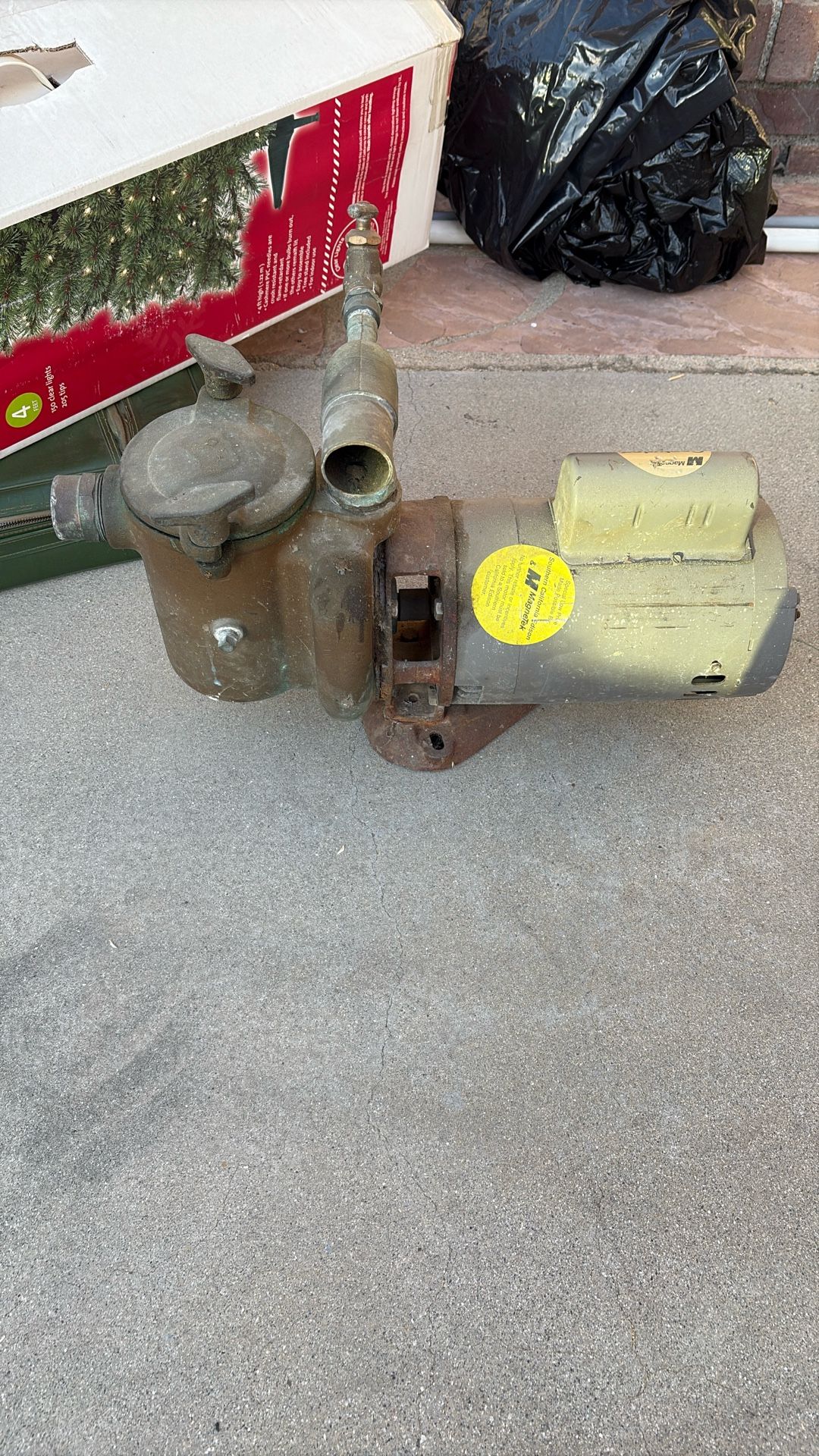 Pool Pump