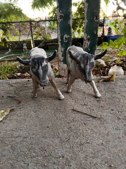 Garden Cows