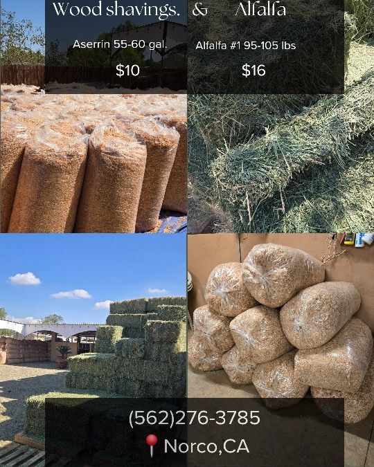 Wood Shavings, Aserrin, Horse Beddin π