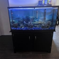 50 gallon fish tank and stand