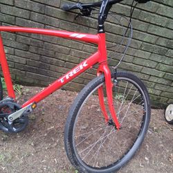 Trek Size Large