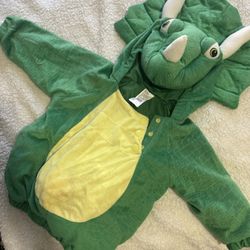 Baby Dinosaur Size 12-18 Months 