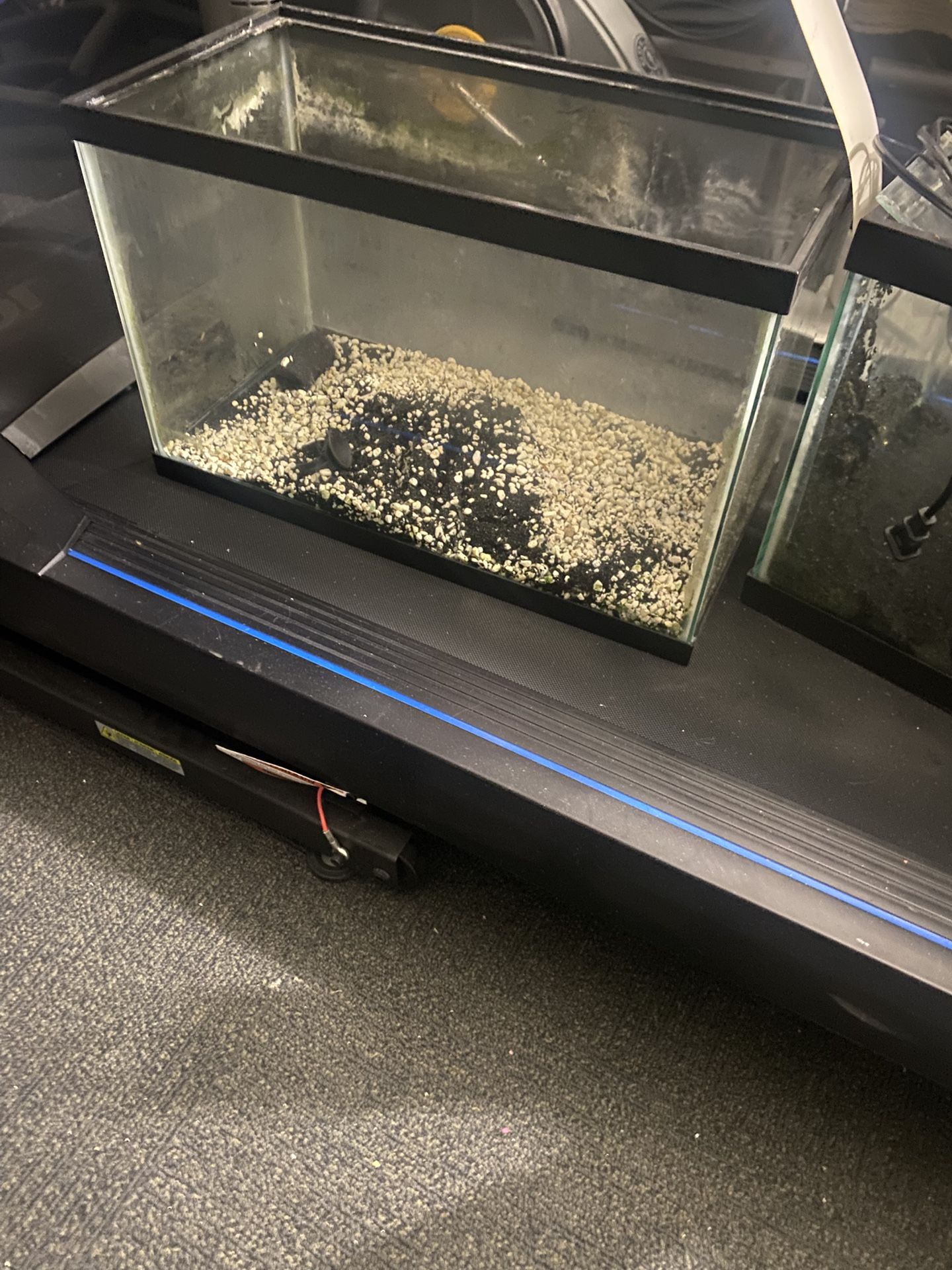 10 Gallon And 20 Gallon long  Aquarium With Substrate And Filters