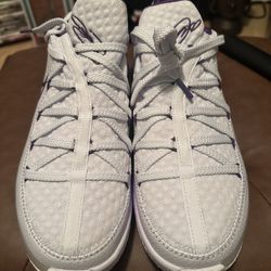 Nike LeBron Low Lakers Colorway 