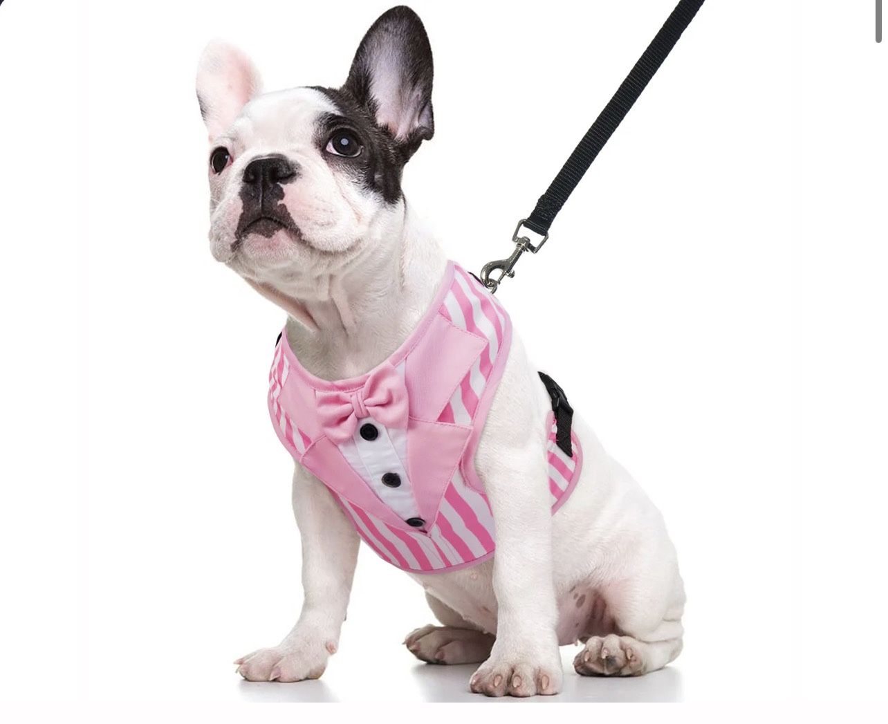 Pink Dog Tuxedo Harness Size: XL
