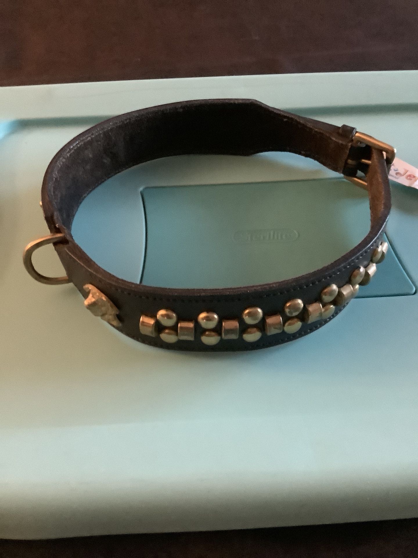 Dog Collar - X large