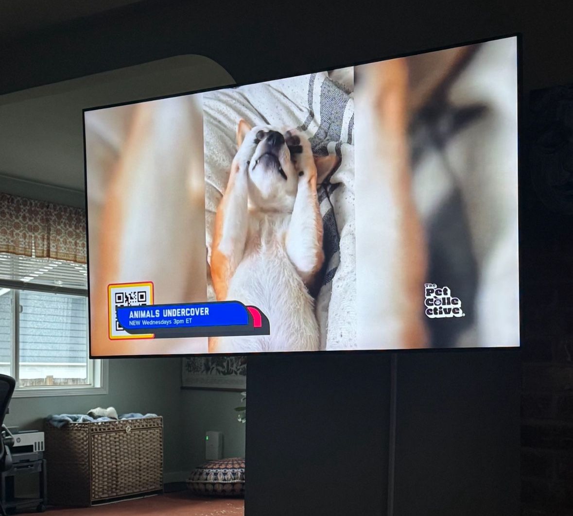 Samsung 65inch TV with Heavy Duty Wall Mount
