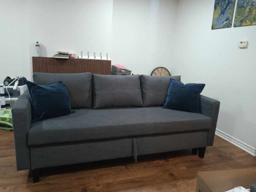 Sleeper Sofa with Storage, $600