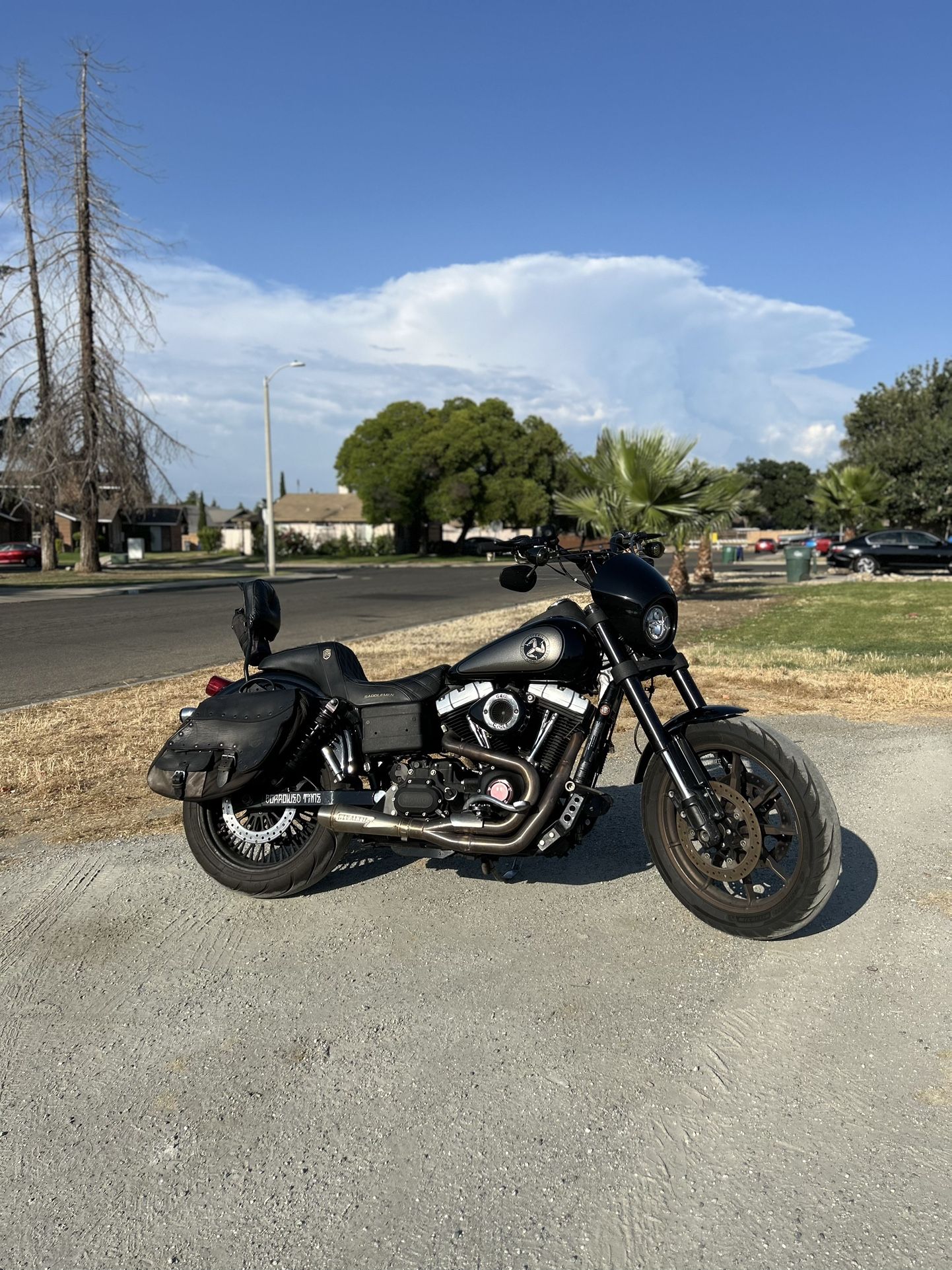 2012 Harley Davidson Street Bob