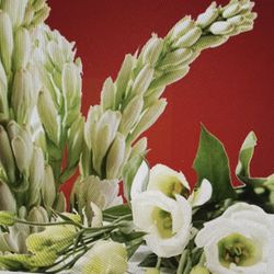 Tuber Rose Body Fragrance Oil 2 oz.