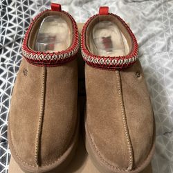 Tasman Ugg