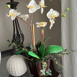 Planta Decorativa $15