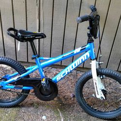 Schwinn 