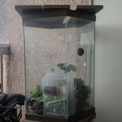 Fish Tank 