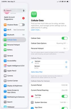 iPad mini A17 pro Cell + wifi