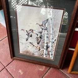 Framed Wildlife Print - Ducks