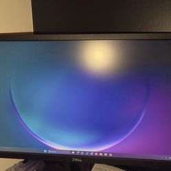 Dell Computer Monitors