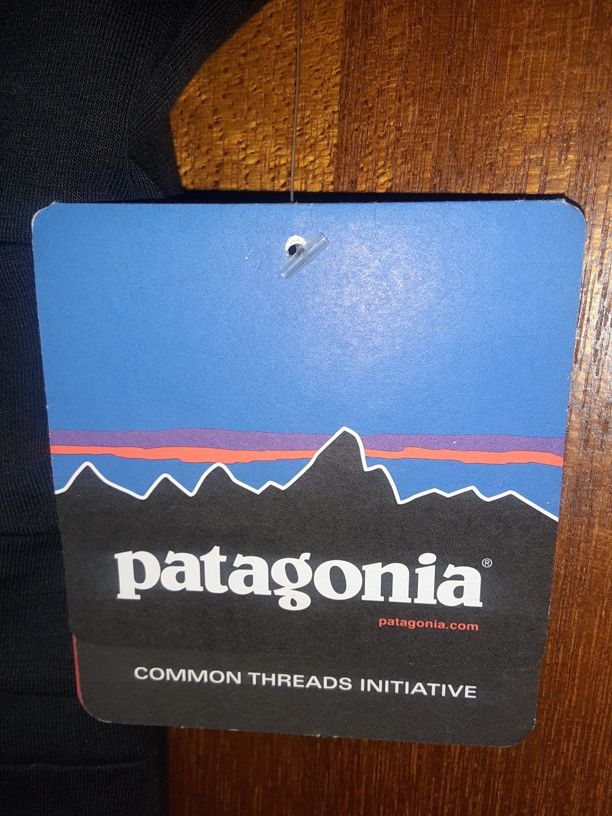 Patagonia dress