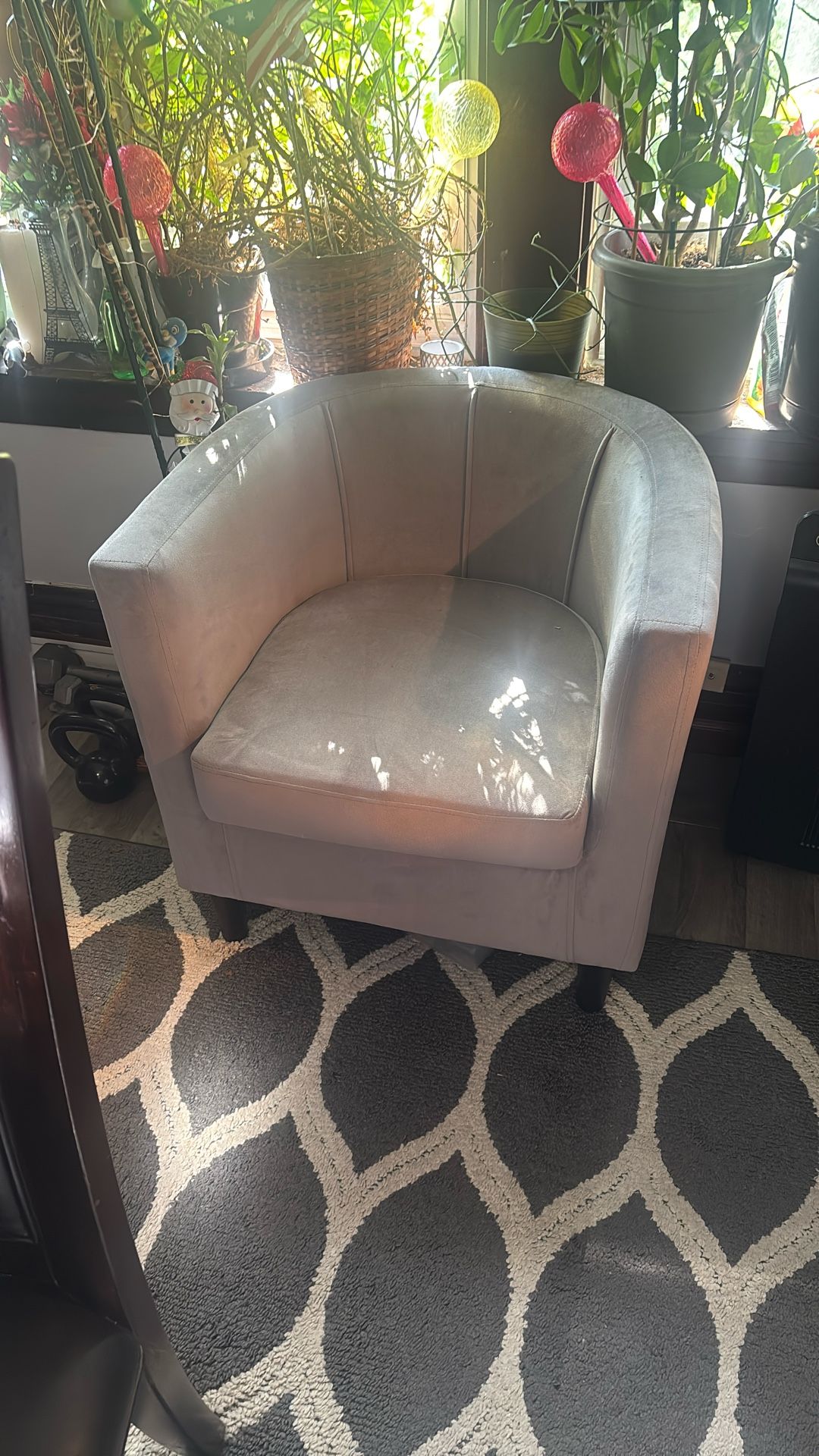 Brand new out the box pet free home