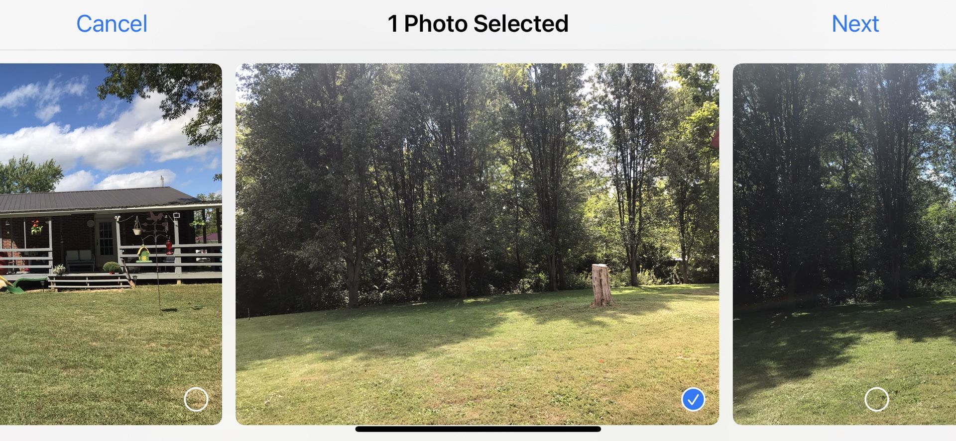 200 Acres For Lease For Hunting