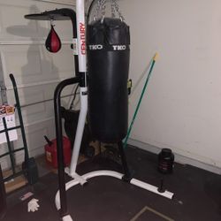 Boxing Stand and Bag