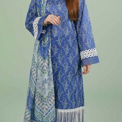 pakistani/Indian dress