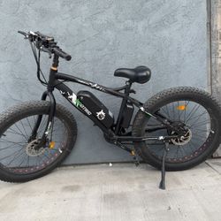 Ecotric 2portcool Bike  