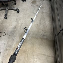Rainshadow sd Special Fishing Pole Fishing Rod