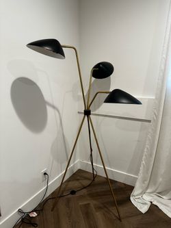West Elm Curvilinear Mid-Century Floor Lamp