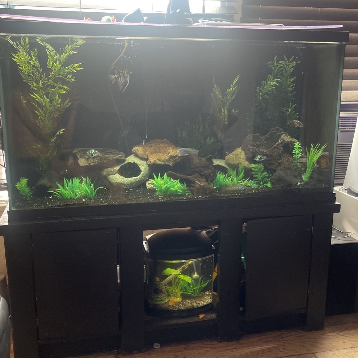 80 Gallon Fish Tank With Stand 