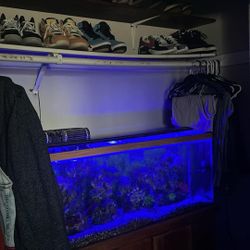 55 Gallon Aquarium 