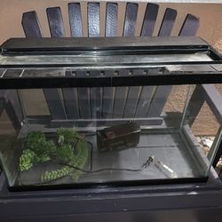 Aquarium