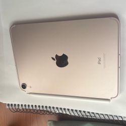 Pink iPad mini 6th Generation 