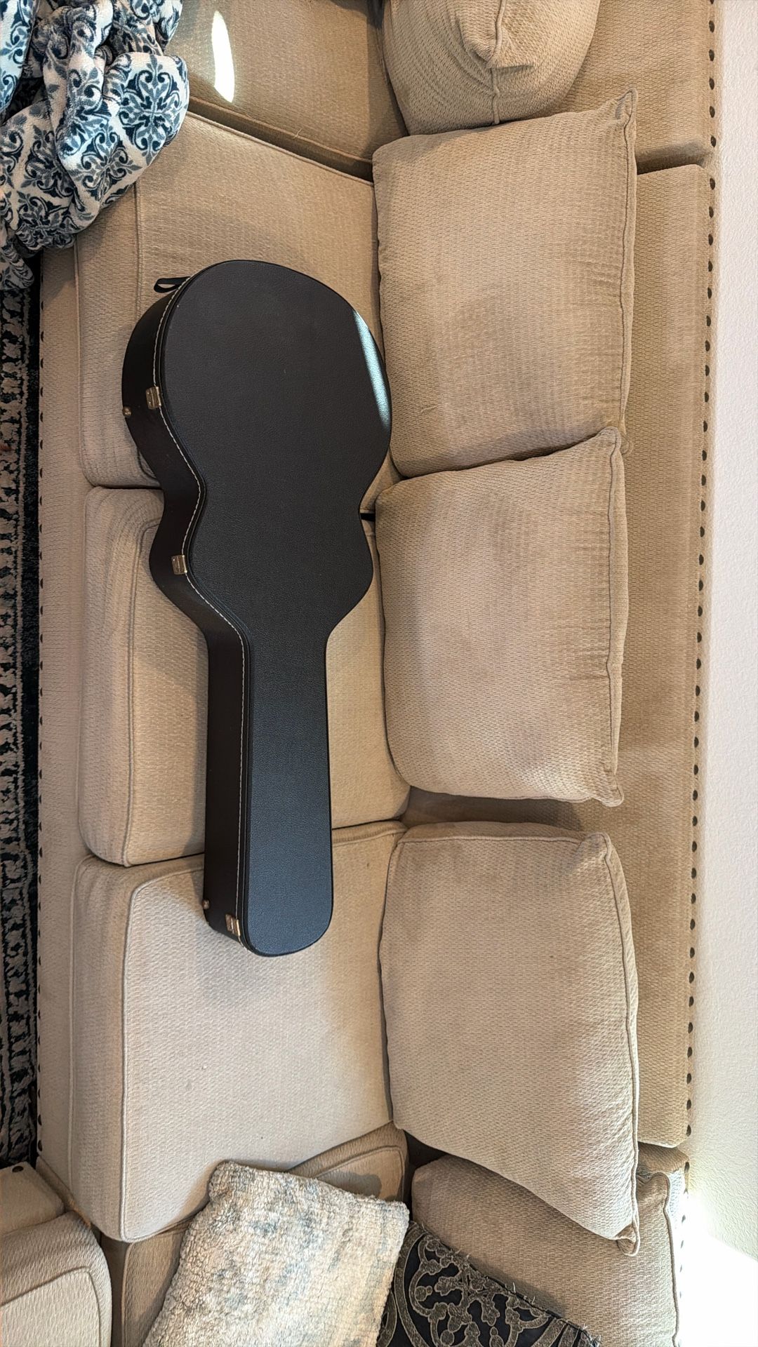 Delta king OE30 Case And electric guitar PERFECT