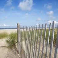 Seeking Beach Weathered Wooden Dune/snow Fencing