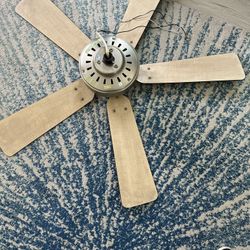 Ceiling Fan
