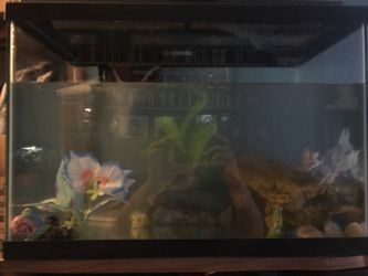 30 gallon tank with extras