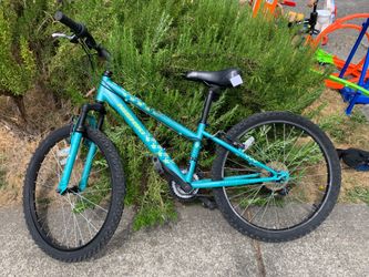 Nishiki Youth Bicycle 24 inch wheel