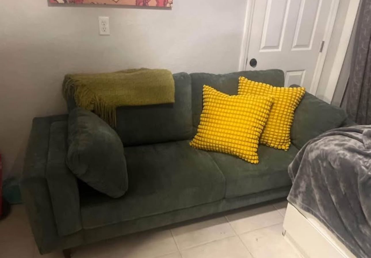 Wayfair Couch barely Used