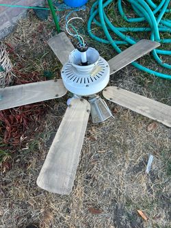 Free Fan
