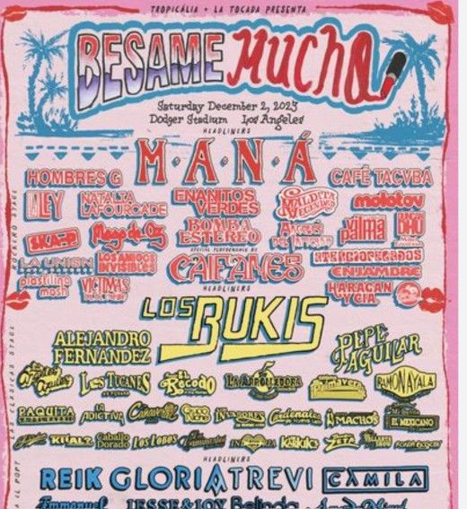 Besame Mucho VIP Wristband