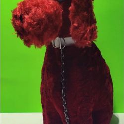 1950s Jee Bee Stuffed Animal French Poodle w/ Leash