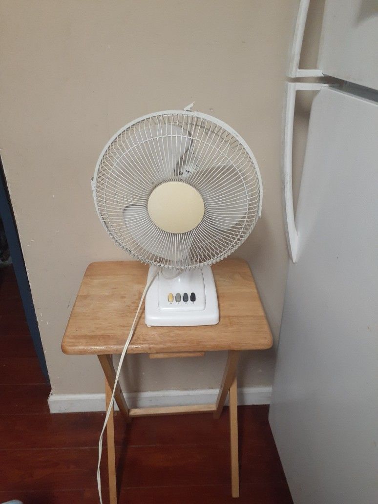 Desktop Oscillating Fan- Northside/Downtown