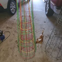 Tomato Cages