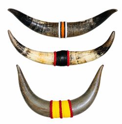 Mini mounted horns. 20” - 21” in length. Great for a small space