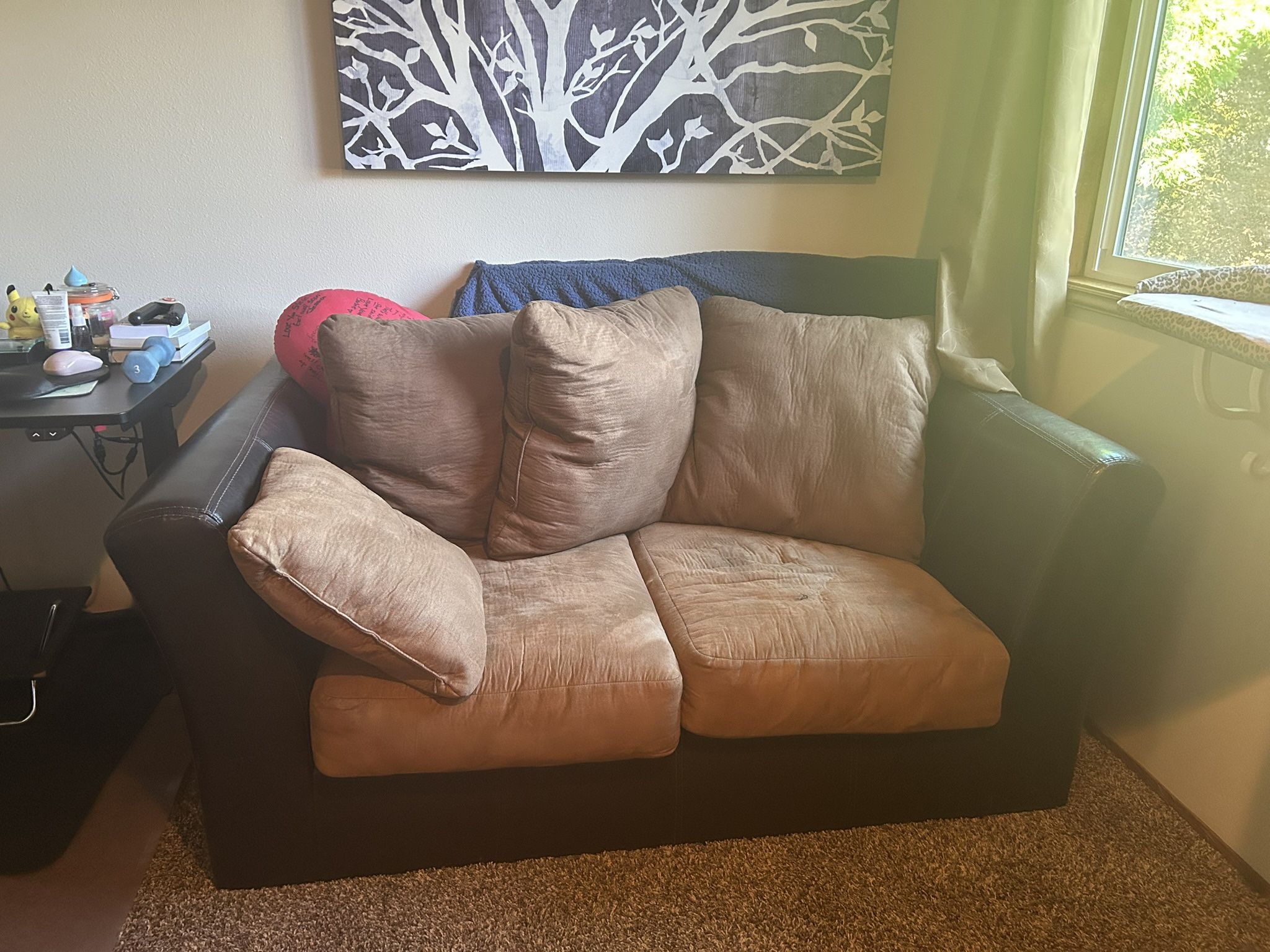 Small Brown Couch