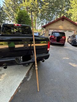 Tree limb trimmer
