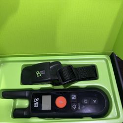 dog training collar