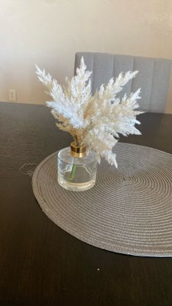 Decorative Plant